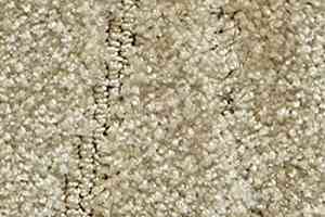 Ковролин Radici Glamour Avorio 1304 фото  | FLOORDEALER